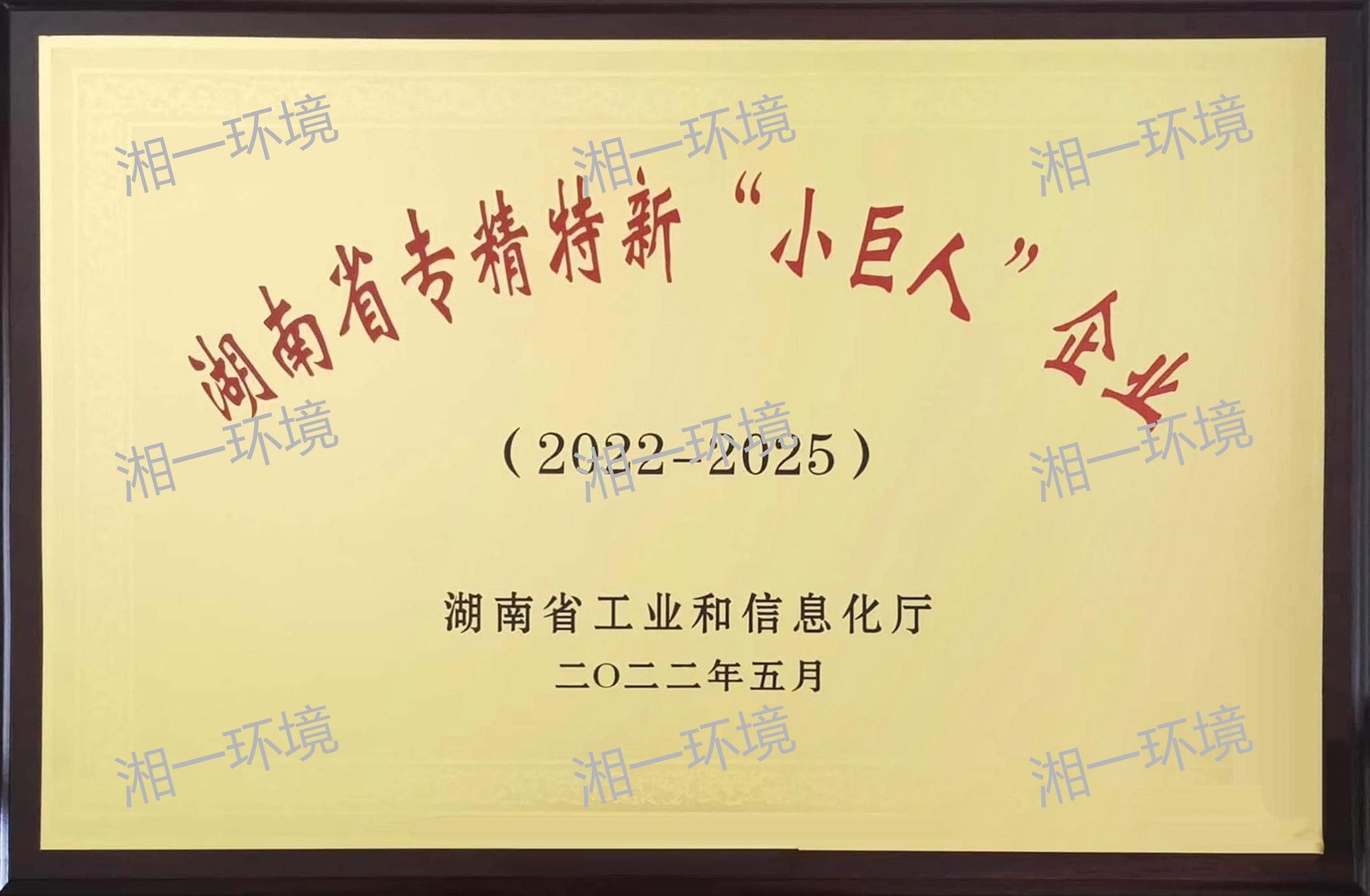 湖南省專精特新“小巨人”企業(yè)