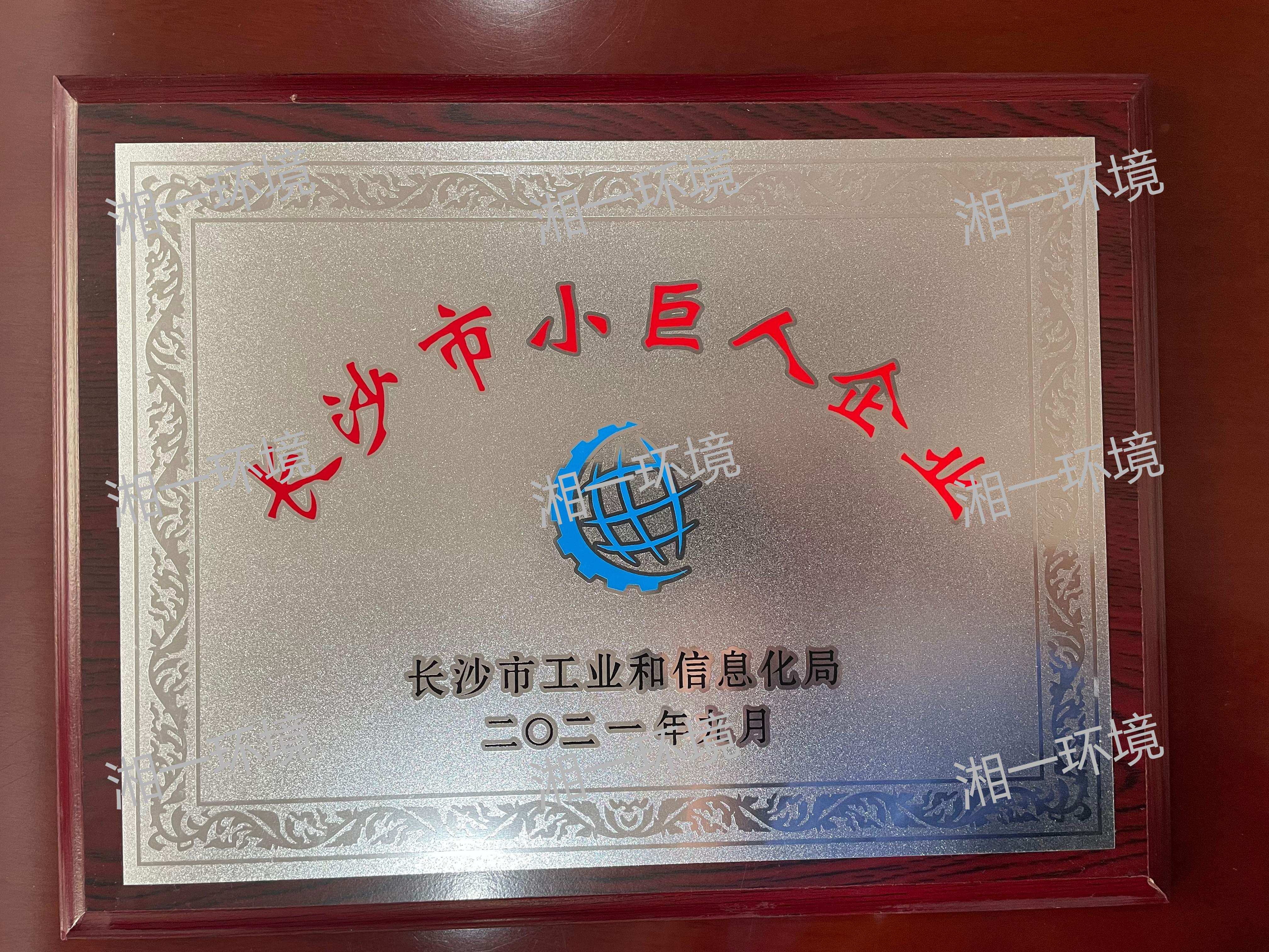 長(zhǎng)沙市小巨人企業(yè)